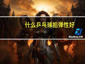什么乒乓球拍弹性好