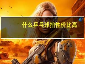 什么乒乓球拍性价比高