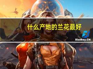 什么产地的兰花最好