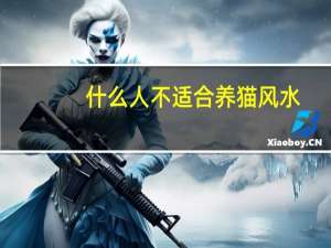 什么人不适合养猫风水