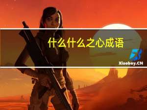 什么什么之心成语