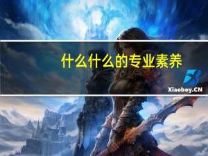 什么什么的专业素养