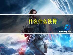 什么什么铁骨