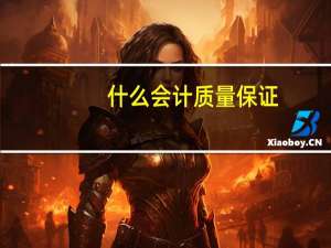 什么会计质量保证