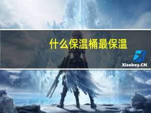 什么保温桶最保温