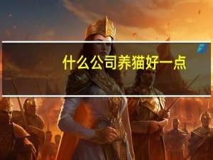什么公司养猫好一点