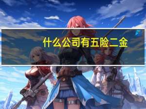 什么公司有五险二金