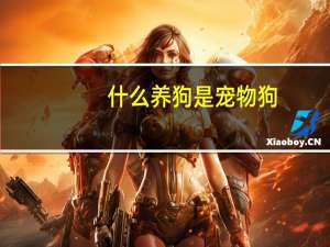 什么养狗是宠物狗