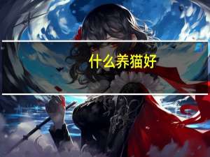 什么养猫好