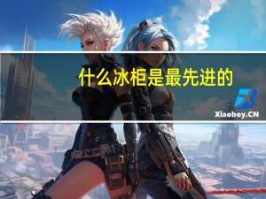 什么冰柜是最先进的（什么冰柜好）