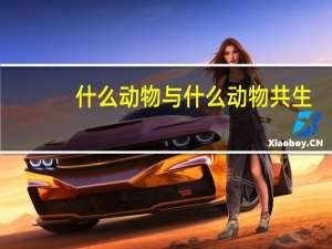 什么动物与什么动物共生