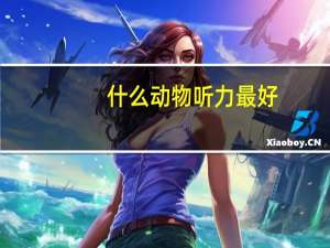 什么动物听力最好