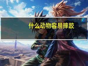 什么动物容易摔跤