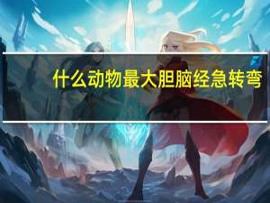 什么动物最大胆脑经急转弯
