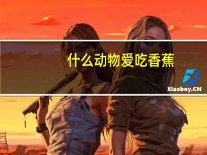 什么动物爱吃香蕉