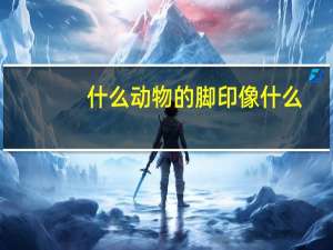 什么动物的脚印像什么