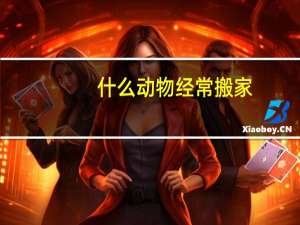 什么动物经常搬家