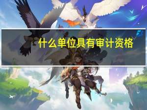 什么单位具有审计资格