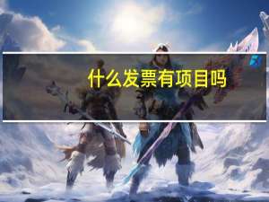 什么发票有项目吗