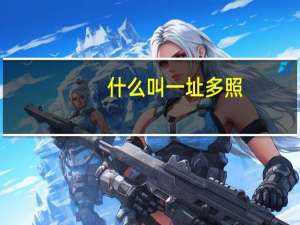 什么叫一址多照