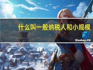 什么叫一般纳税人和小规模（什么叫一般纳税人和小规模纳税人）