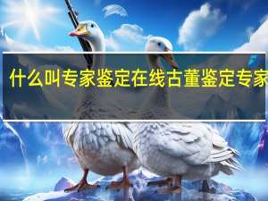 什么叫专家鉴定 在线古董鉴定专家咨询