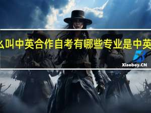 什么叫中英合作自考 有哪些专业是中英合作的呢