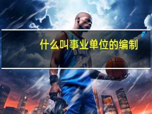 什么叫事业单位的编制