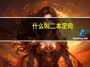 什么叫二本定向
