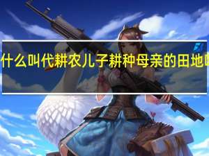 什么叫代耕农 儿子耕种母亲的田地叫什么
