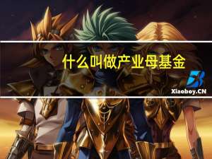 什么叫做产业母基金