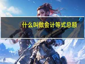 什么叫做会计等式总额