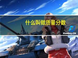 什么叫做质量分数