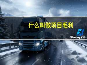 什么叫做项目毛利