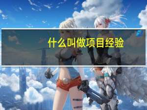 什么叫做项目经验