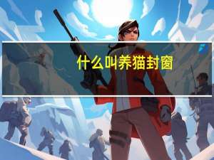 什么叫养猫封窗