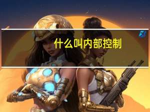 什么叫内部控制