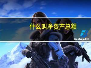 什么叫净资产总额