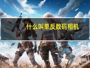 什么叫单反数码相机