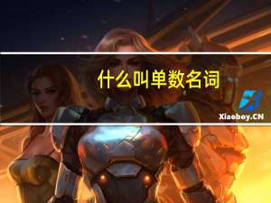 什么叫单数名词