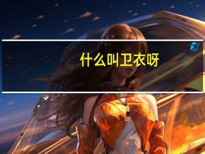 什么叫卫衣呀