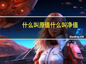 什么叫原值什么叫净值