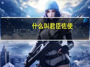 什么叫君臣佐使