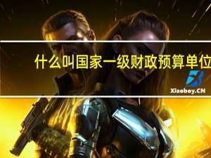什么叫国家一级财政预算单位