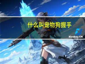 什么叫宠物狗握手