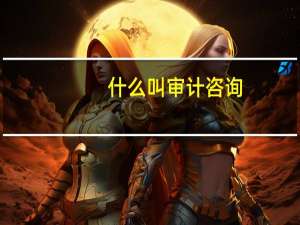 什么叫审计咨询