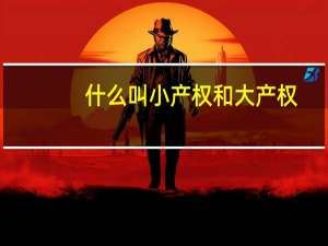 什么叫小产权和大产权（什么是小产权什么是大产权）