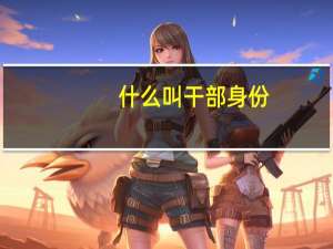 什么叫干部身份