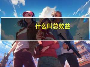 什么叫总效益