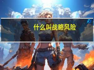 什么叫战略风险